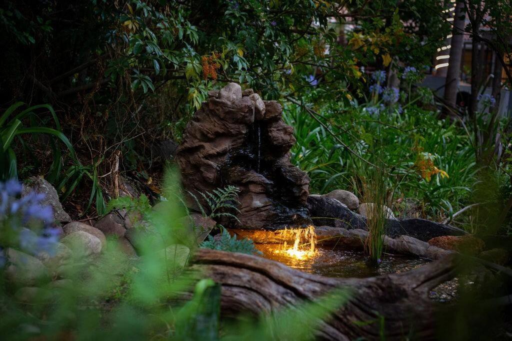 The Oasis Of *