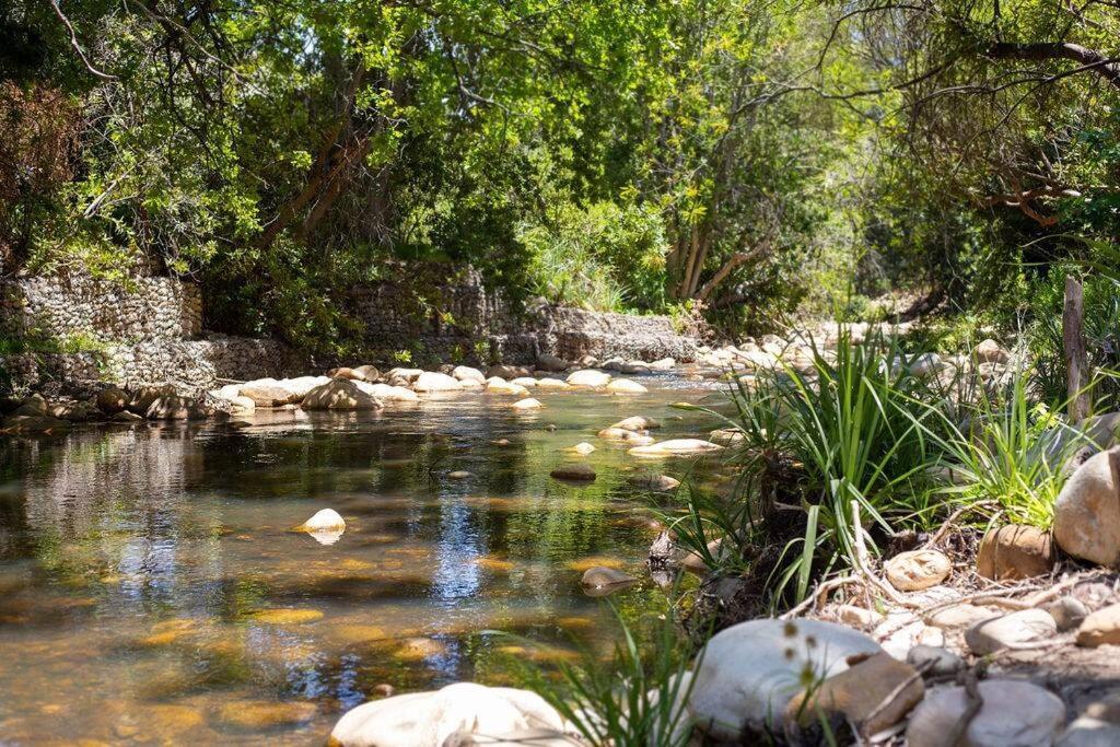 The Oasis Of Villa *